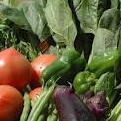 野菜の放射能汚染に対する安全性
